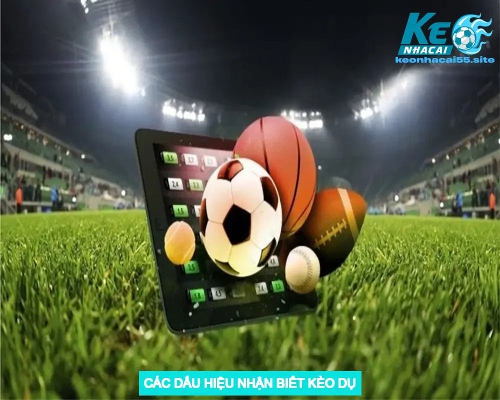 Cách Nhận Biết Kèo Dụ Từ Nhà Cái: Hướng Dẫn Chi Tiết 2 Các Dấu Hiệu Nhận Biết Kèo Dụ