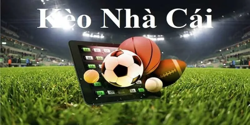 Trang chủ 168 Cách Soi Kèo Hiệu Quả Với Kèo Nhà Cái 55 - Bí Quyết Người Chuyên Nghiệp