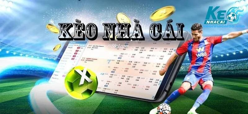 Trang chủ 166 Kèo Nhà Cái 55 - Thông Tin Quan Trọng Giúp Cá Độ An Toàn
