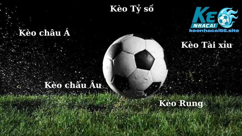 Trang chủ 167 Phân biệt các loại kèo nhà cái phổ biến