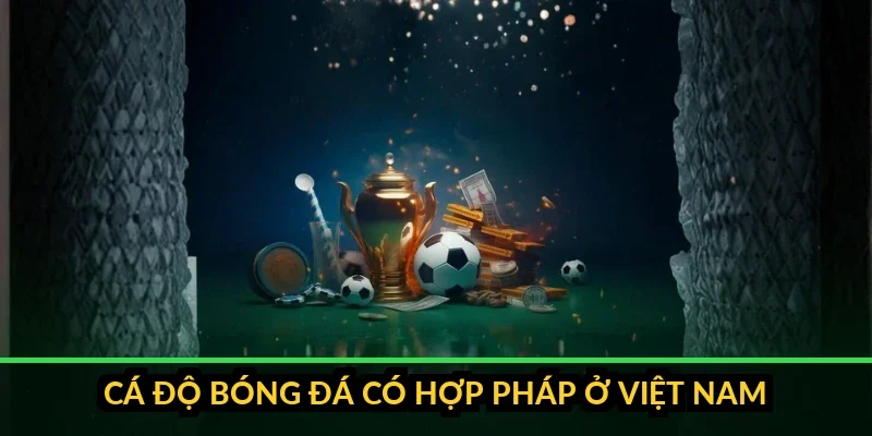anh 0 thumbnail ca do bong da co hop phap o viet nam kho