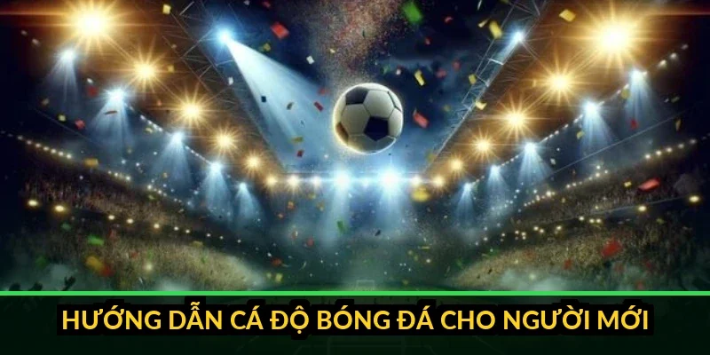 anh 0 thumbnail huong dan ca do bong da cho nguoi moi tu