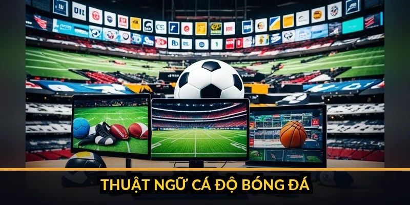 anh 0 thumbnail thuat ngu ca do bong da tu dien day du c