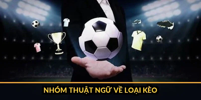 Bảng kèo minh hoạ các loại kèo chấp, tài xỉu và 1x2 của một trận đấu