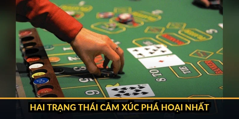 Biểu đồ mô tả vòng xoáy cảm xúc của cược thủ từ hưng phấn đến cay cú