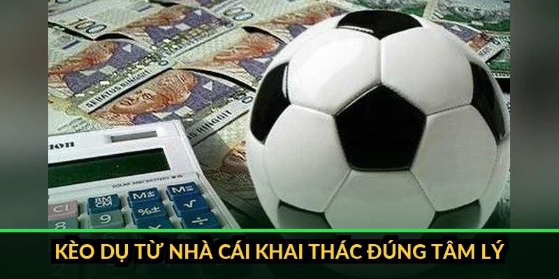 Bảng tỷ lệ kèo với một dòng tỷ lệ cao bất thường được khoanh đỏ
