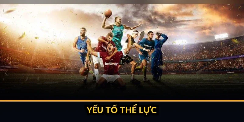 Sơ đồ chiến thuật đội hình ra sân với các vị trí trụ cột được đánh dấu