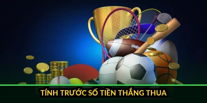 Minh họa quy trình bốn bước chọn nhà cái, phân tích, đặt cược và tính kết quả
